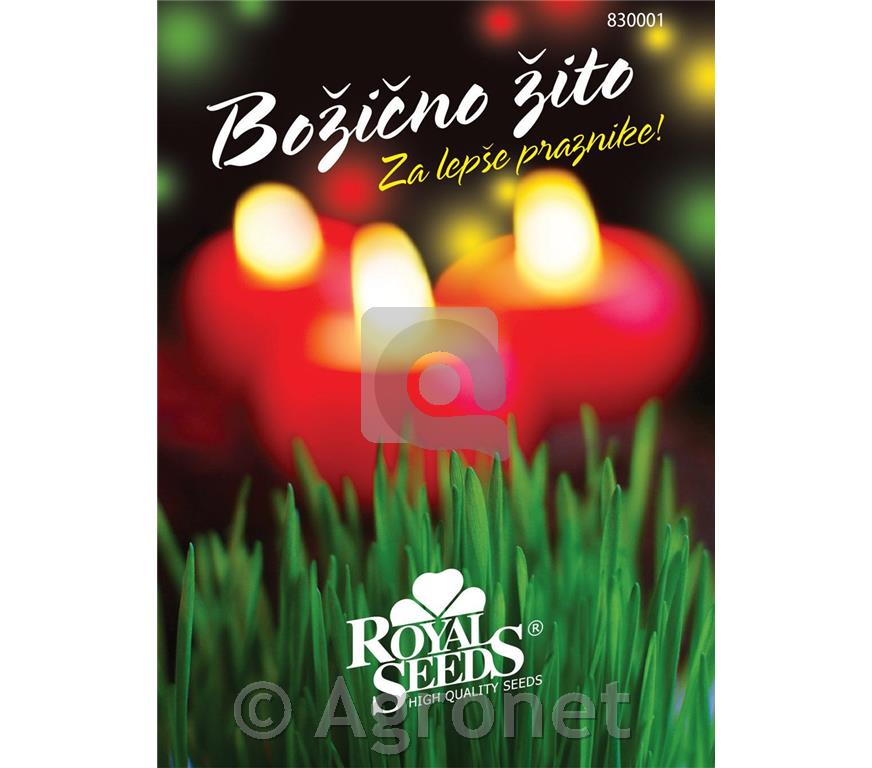Božično žito 80g