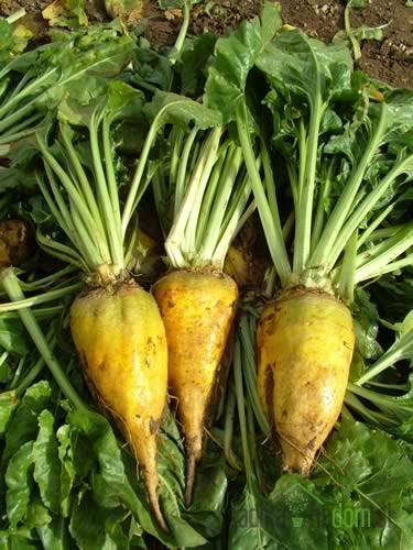 KRMNA PESA BRIGADIER 500 G