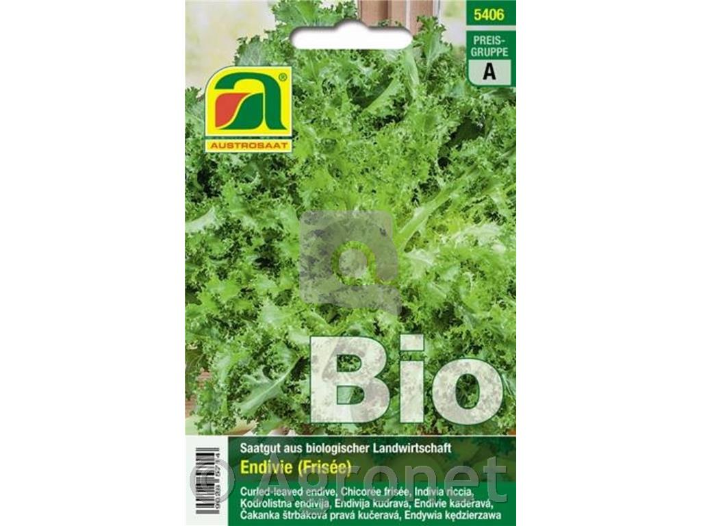 Endivija Wallone (Frisée) EKO