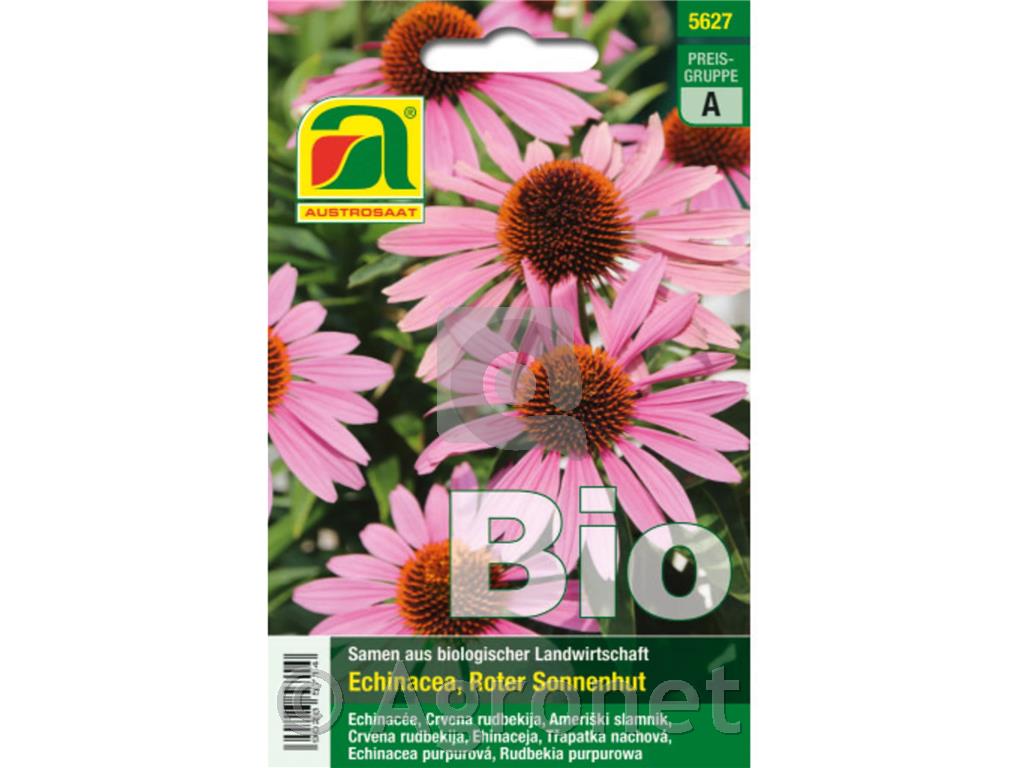 Ameriški slamnik BIO