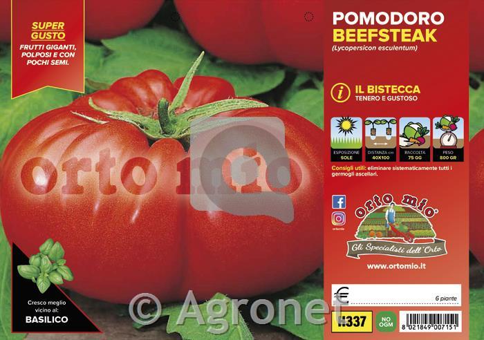 Paradižnik orjaški Beefsteak F1, 6 kos