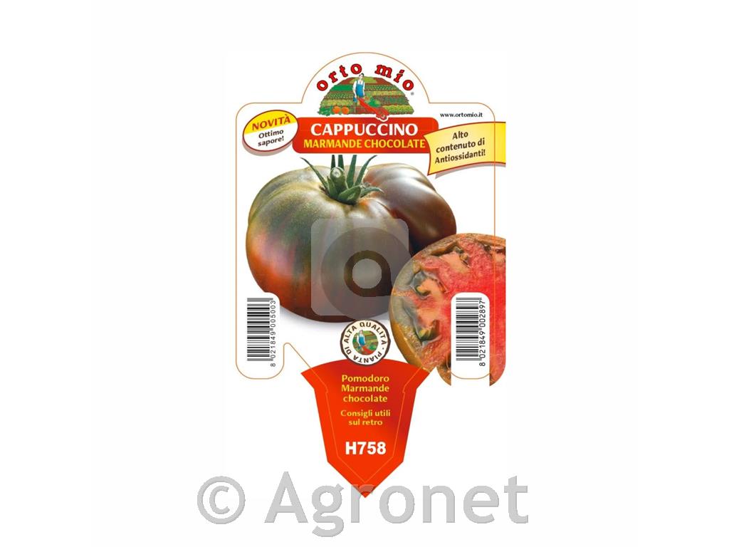 Paradižnik rebrasti Cappuccino F1