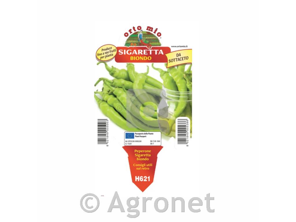 Paradižnik rebrasti Marmande Raffy F1, 1 kos