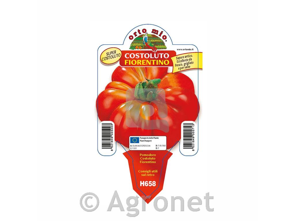 Paradižnik rebrasti Cosimo F1