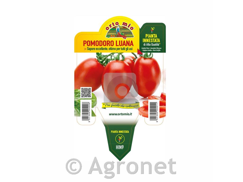 Paradižnik ovalni Luana F1
