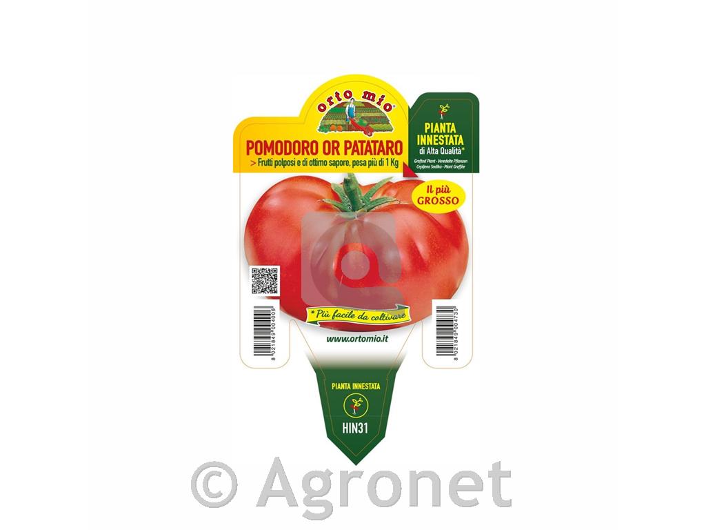 Paradižnik orjaški Big Patata F1