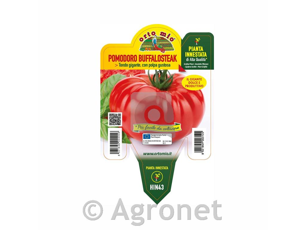 Paradižnik solatni Buffalosteak F1