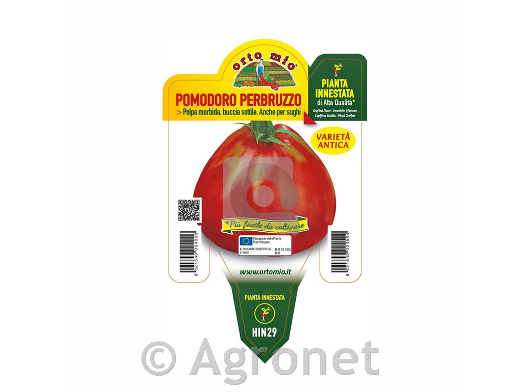 Paradižnik cepljen hruškasti Silvano F1