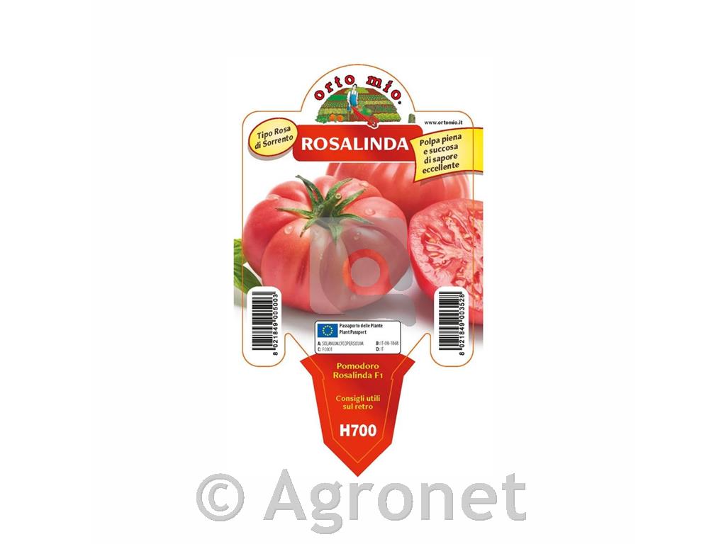 Paradižnik orjaški Costiera F1