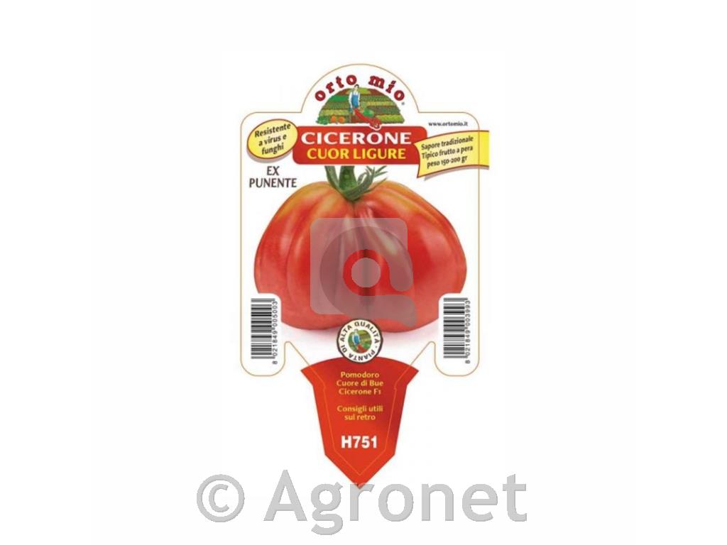 Paradižnik ligursko volovsko srce Diablo F1