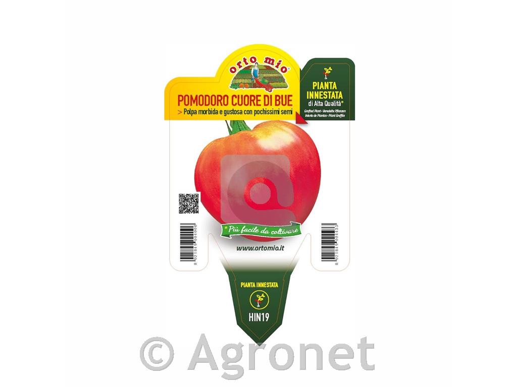 Paradižnik cepljen volovsko Gourmandia F1, 1 kos