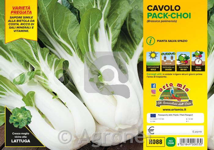 Pak choi Mei Qing Choi F1, 6 kos