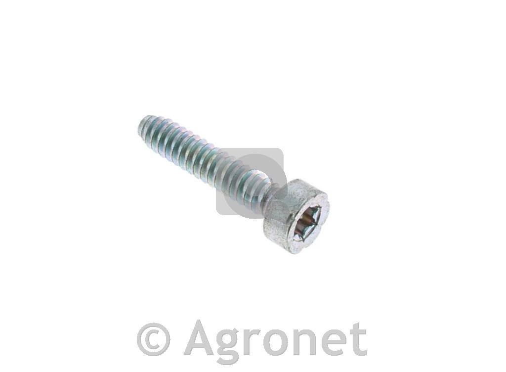 Vijak DG5 0x24 (TORX T27-7) STIHL