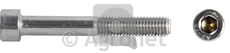 Imbus vijak s cilindrično glavo M4 x 30 mm, V2A INOX