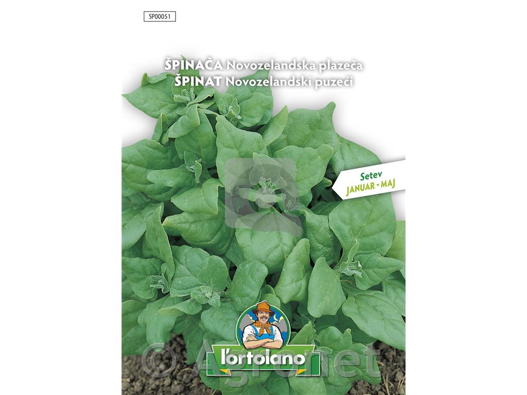Špinača Novozelandska plazeča 10g