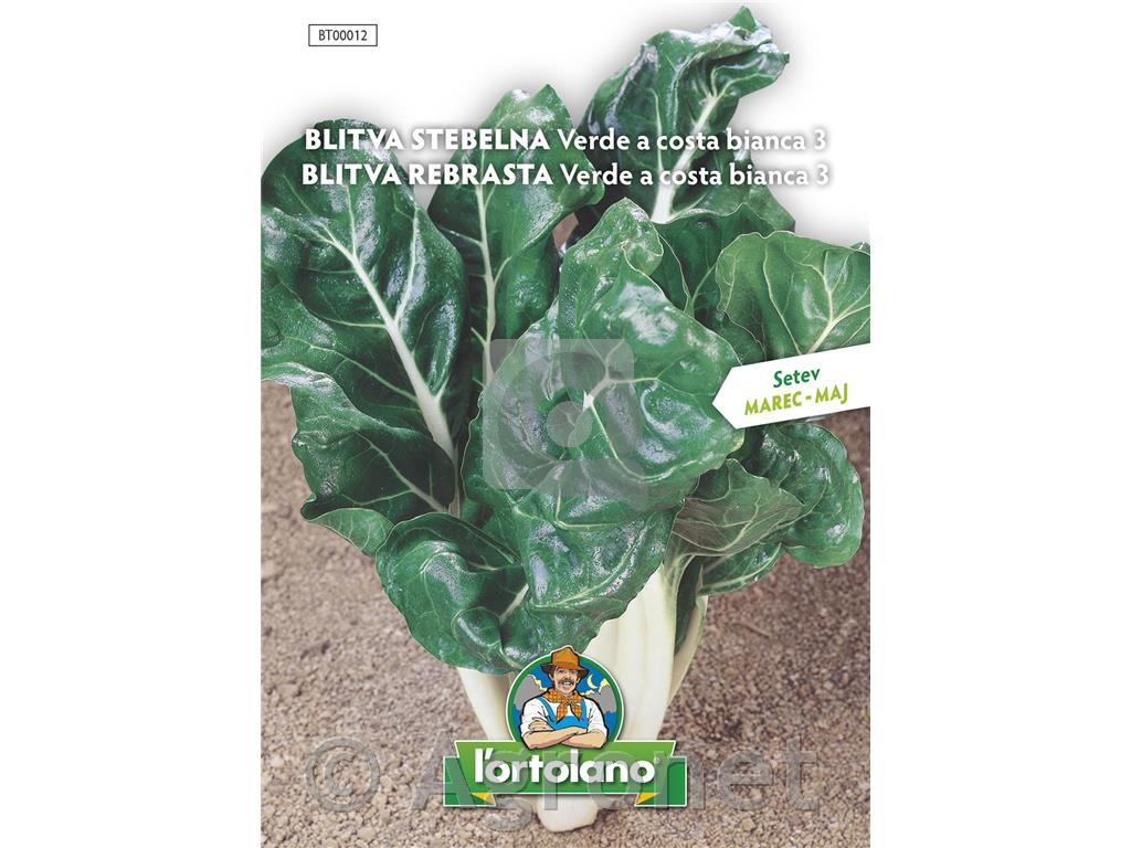 Blitva srebrnolistna, 10 g