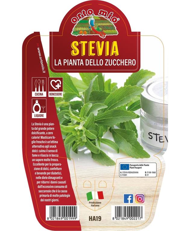 Stevia, 1 kos