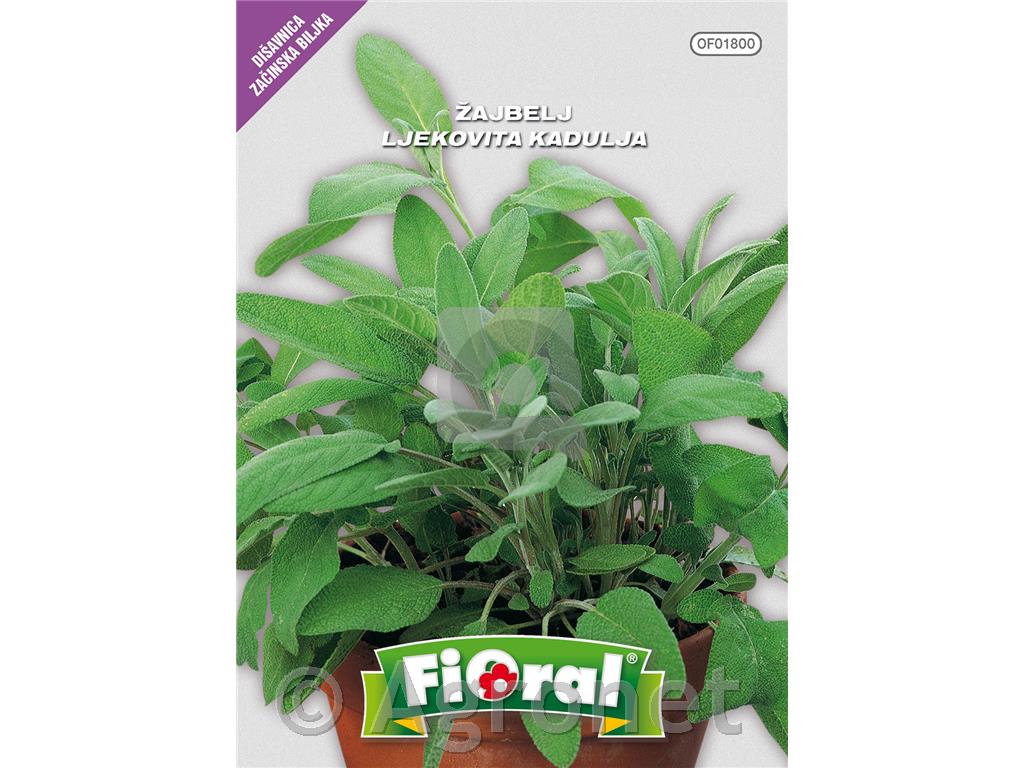Žajbelj (Salvia officinale), 1 g