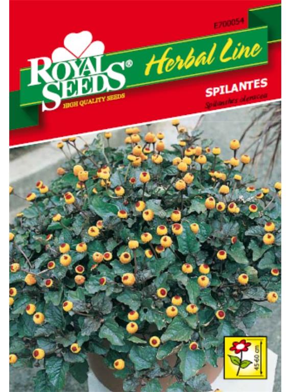 Spilantes (Spilanthes oleracea) 0,2g