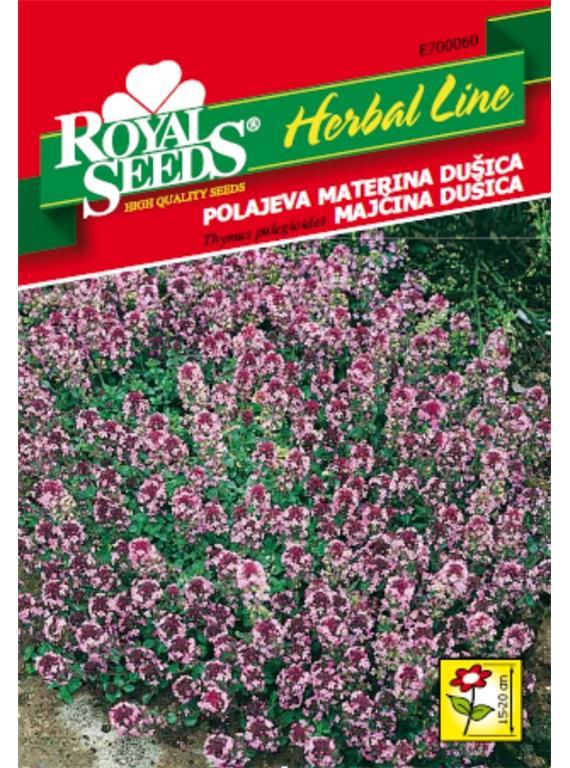 Polajeva materina dušica (Thymus pulegioides)