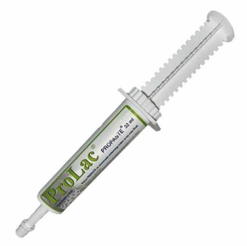 Lactiferm Vit probiotična pasta probiotik, 32 mL