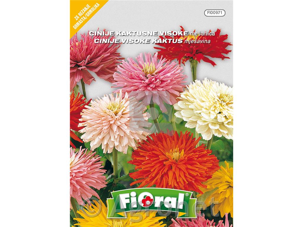 Cinije kaktusne (Zinnia elegans), 1 g