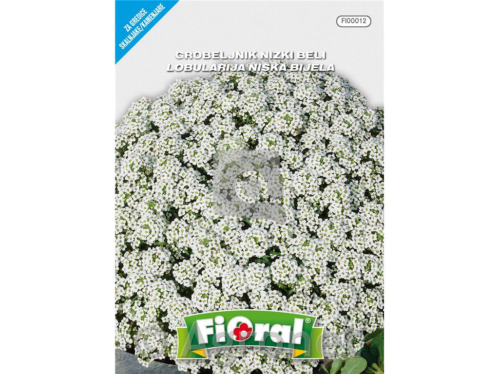 Grobeljnik (Alyssum maritima), 0,6 g