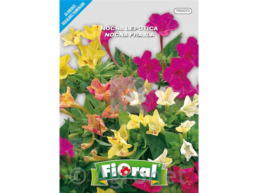 Nočna lepotica (Mirabilis jalapa), 3 g