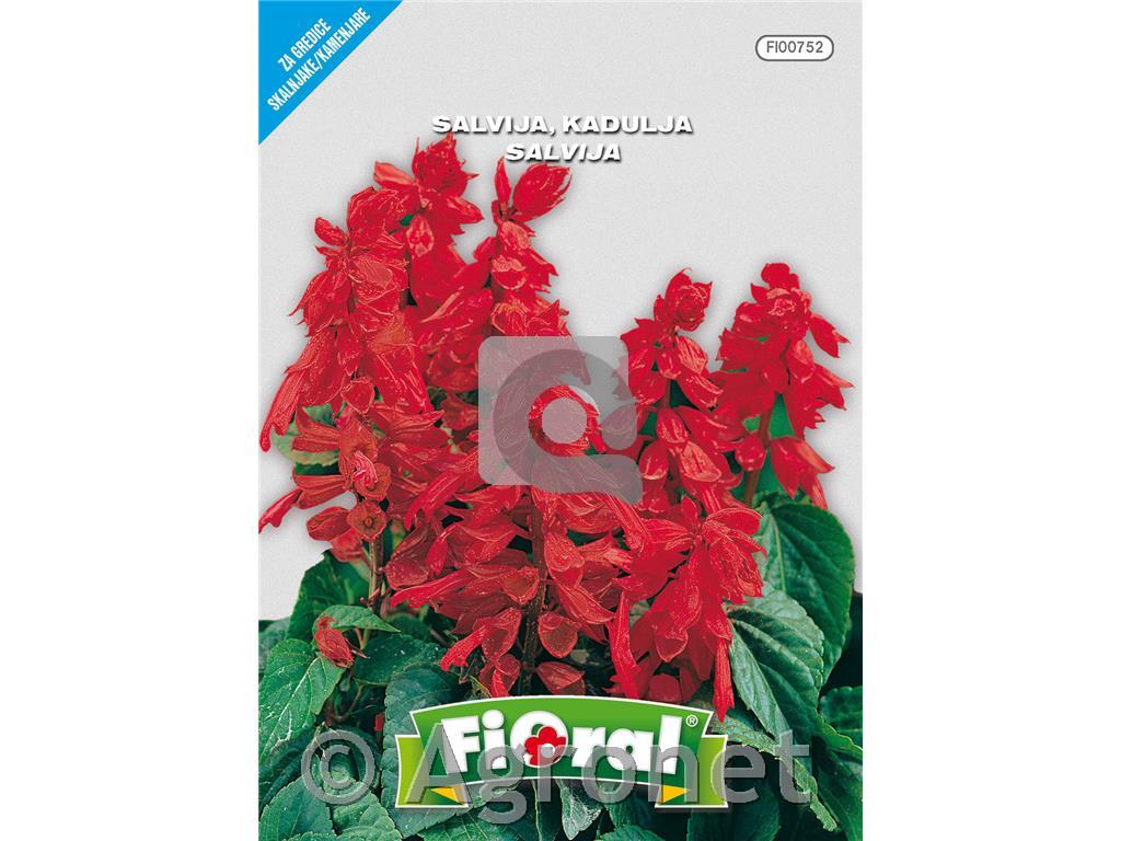 Salvija (Salvia splendens), 0,3 g