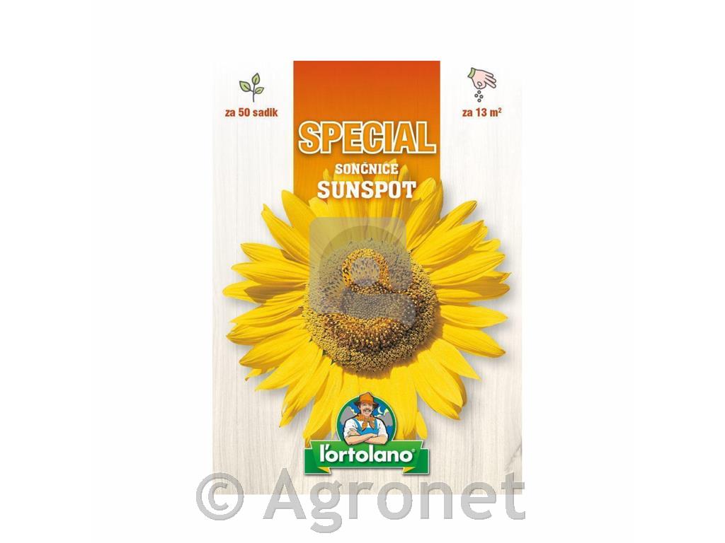 Sončnice Sunspot – 50 semen (pritlikava okrasna sorta)