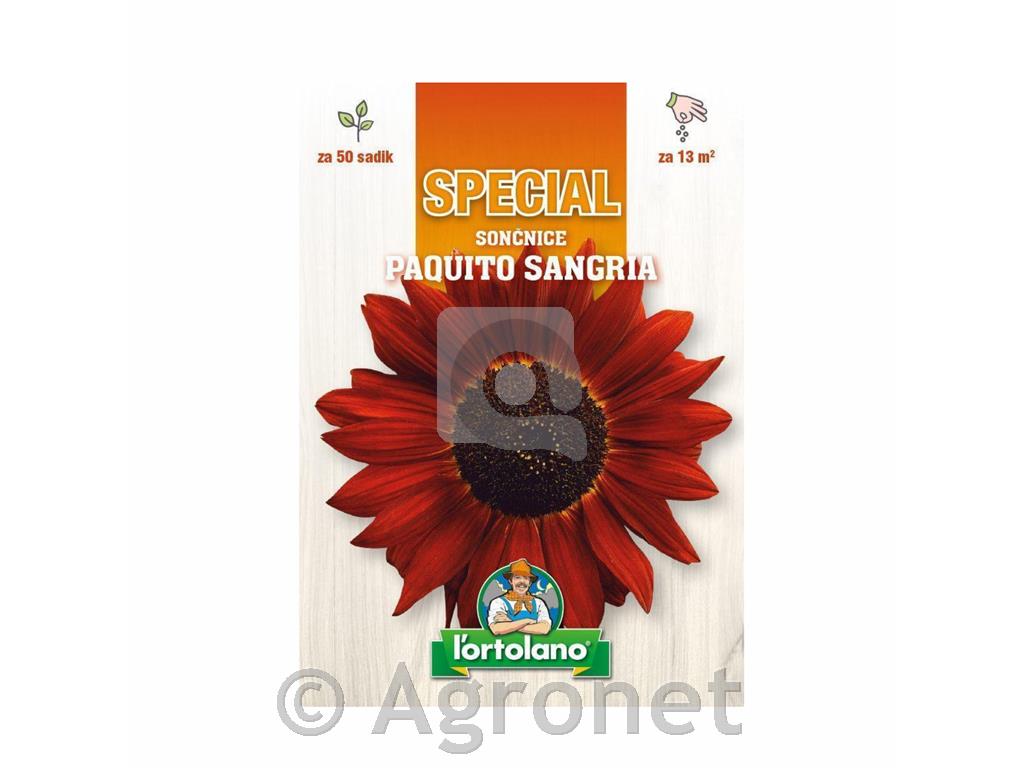 Sončnice Paquito Sangria 50 semen