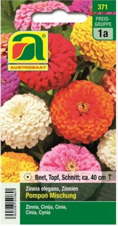 Cinija Pompon mešanica