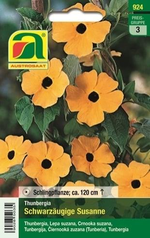 Črnooka Suzana, 7g