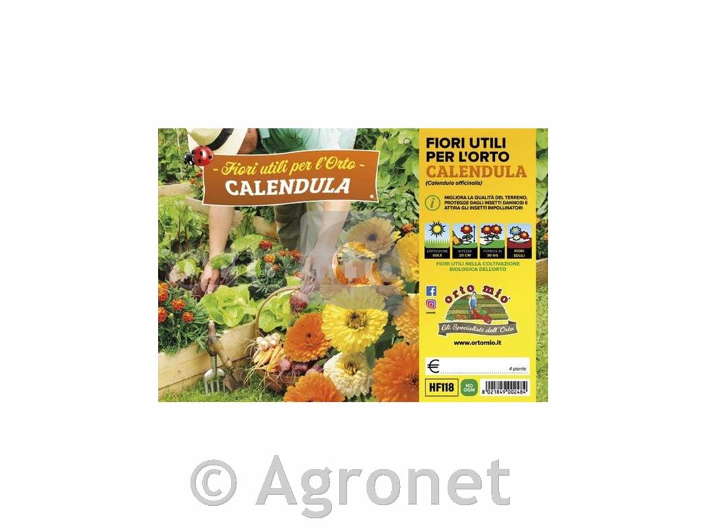 Vrtni ognjič, 4 kos