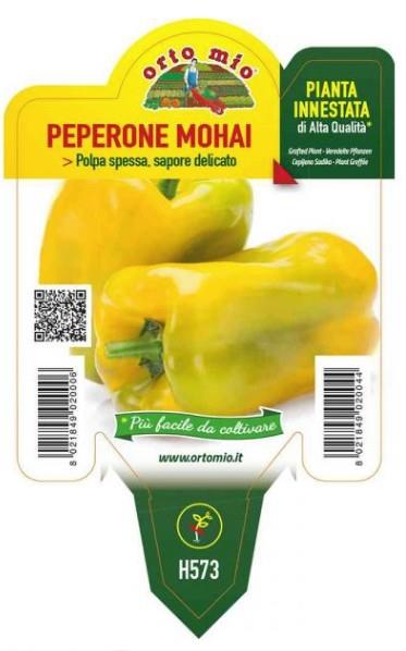 Paprika cepljena rumena Mohai F1, 1 kos