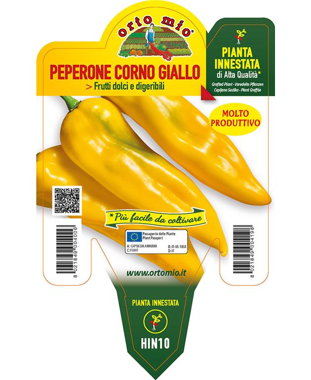 Paprika cepljena rog rumena Iside F1, 1 kos