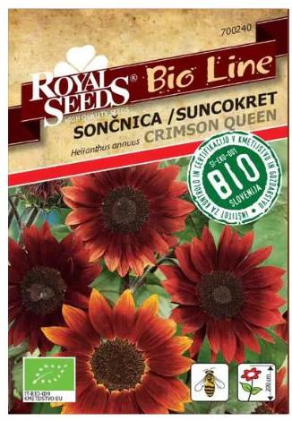 Sončnica visoka Crimson Queen1g