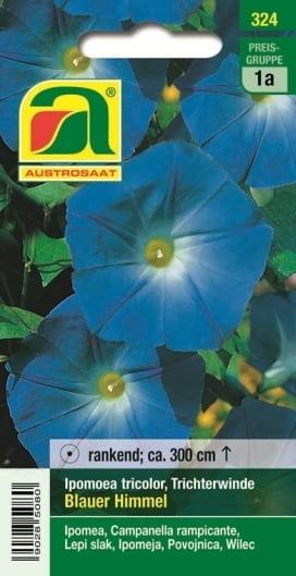 Slak Blauer Himmel, enoletni, ovijalka 5g