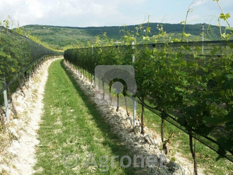 Mreža proti toči, 1,25 m