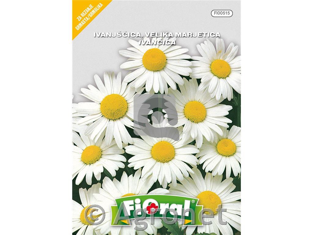 Ivanjščica (Chrysanthemum maximum), 0,5 g