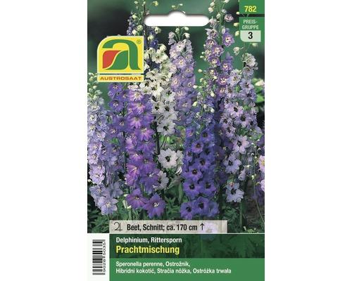 Ostrožnik Delphinium, mešanica barv