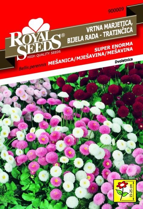 Vrtna marjetica - SUPER ENORMNA 0,30g