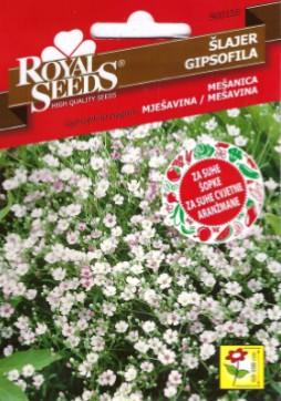 Šlajer-Pajčolanka (Gypsophila paniculata) 3g