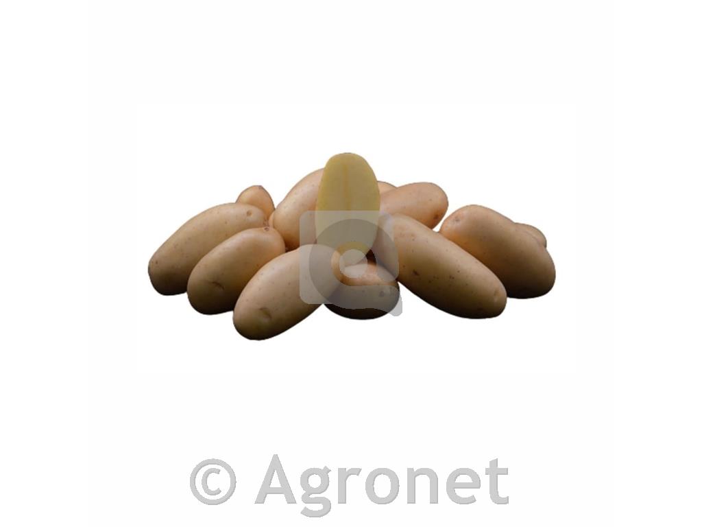 Krompir Siena 28/35 2,5kg