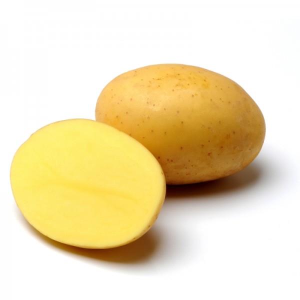 Krompirj Elfe 28/35 2,5 kg
