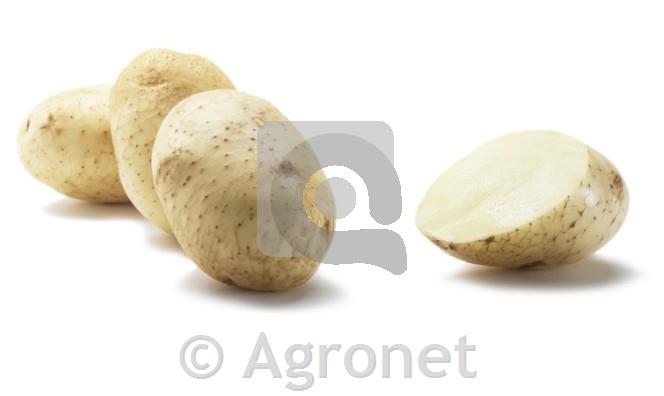 Krompir Artemis A 38/35 - 3 KG