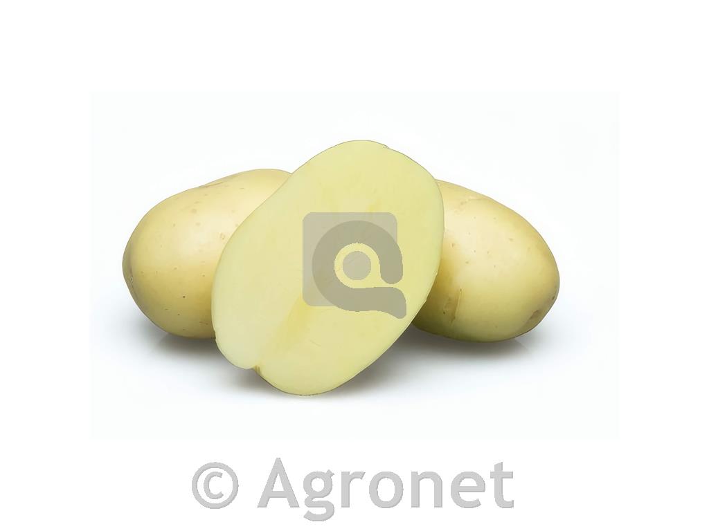 Krompir Evora A 35/55 10kg