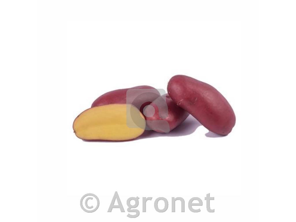 Krompir Franceline (kifelčar) A 30/40 3kg