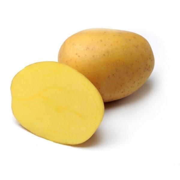 Krompir Anuscha A28/35 2,5kg