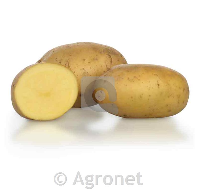 Krompir KIS Slavnik 35/50 2,5kg